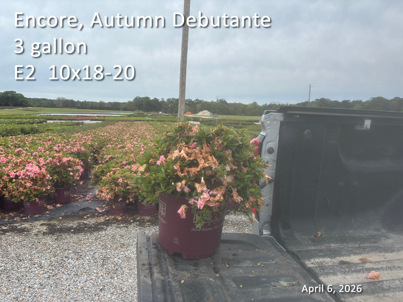 gallery/edeb3 e2 apr6.jpg